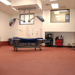 Veterinary Operating Room